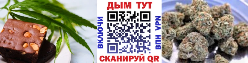 где можно купить   Тихвин  гидра вход  Canna-Cookies марихуана 