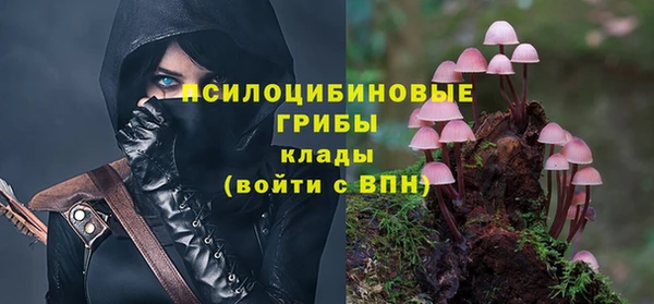 MDMA Premium VHQ Каменка