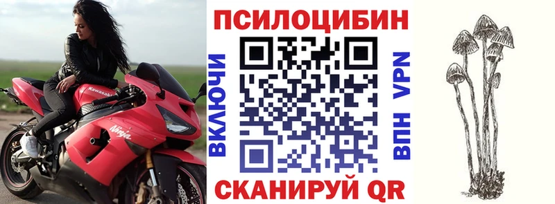 где купить наркоту  Тихвин  Псилоцибиновые грибы ЛСД 